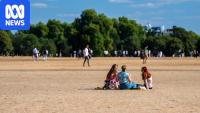 London's parched Hyde Park reflects 'unprecedented' drought ravaging UK