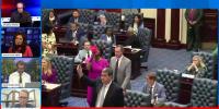 7+ Florida Politics Now: Previewing the U.S. senate race