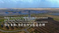 China's 'Solar Great Wall' turns desert into green energy oasis