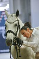 Arabian show a boon for city’s economy