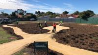 Bare block in Brentwood transformed into the suburb’s first pocket forest with community support