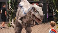 North Wales seaside town gets new dinosaur experience inside family zoo
