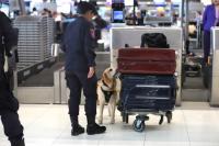 Regional airport upgrade plan taking off