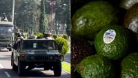 Mexico deploys 1,500 troops to guard and protect avocado hubs