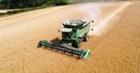 Farming 'cashflow crisis' could hit next year's food production, warns industry