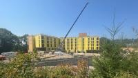 Trees slated for preservation damaged, removed at UW student housing projects