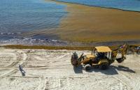 Empty beaches and 'unbearable stench': Mexico wages war on sargassum weeds