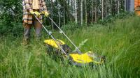 18 Of The Best Lawn Mower Models You Can Buy For Cutting Tall Grass