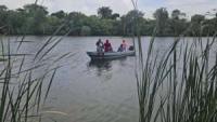 Swarm of killer bees leads to the drowning of 21-year-old Sue Liu