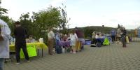 21 youth business licenses issued to UAF lemonade camp participants