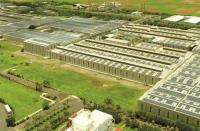Tornel Trouble: How West Asia's War Reached JK Tyre's Mexican Factory Floor