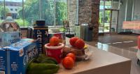 Bach Bank Rescues the Food That Tourists Leave Behind