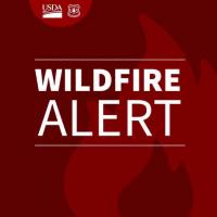 SFNF: New Starts And Updates On Wildfires: Lightning Started Fires Within Cuba, Espanola And Pecos Ranger Districts