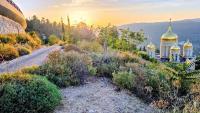 Where Jerusalem goes to breathe: Inside the serene hidden oasis of Ein Kerem