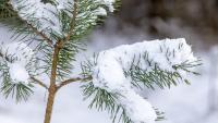Snow to hit Joburg this long weekend? Here’s when it could fall