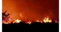 Six-week period identified as Greece’s highest wildfire risk season