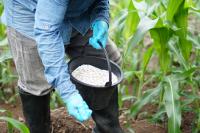 PM-PRANAM Supports Balanced Fertilizer Use for Sustainable Agriculture