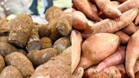 What's the difference between sweet potatoes and yams?