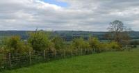 Farmers invited to see how trees transform productive landscapes