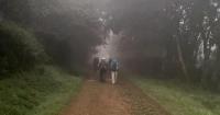 Five lesser-known caminos worth walking this autumn