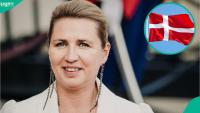 Denmark lists 9 special conditions for 18-year-old foreigners seeking permanent residence