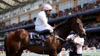Willie Mullins €4.3million winner set to be sent on his travels again