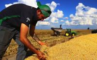 South America is eradicating hunger