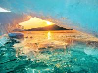 The urgent work of restoring nature