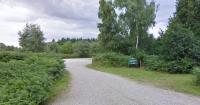 Suffolk forest trail and car park to close for a year