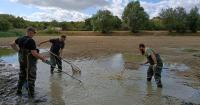 4,000 fish rescued after south Essex lake reduced to 'puddle' by severe drought