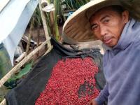 Rooted in Matutum: How an ex-seminarian is reshaping South  Cotabato’s coffee industry