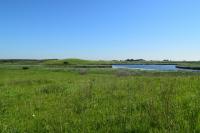 North Iowa Outdoors: Habitat Variety Draws Visitors to Lake Iowa and Lake Iowa Marsh