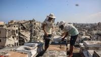 Gaza's rooftop beekeepers nurture hope amid war's destruction