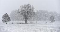 Old Farmer's Almanac Predicts 2027 Winter Weather with Super El Niño Threat
