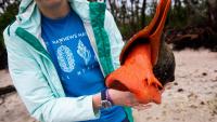 What to know about SW Florida's live shelling laws