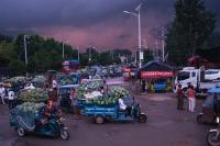 Weekend Long Read: A Soaked Market for Central China’s Watermelon Farmers