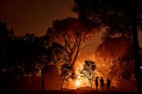 What Happens When the World is on Fire