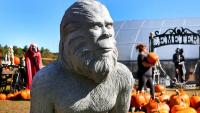 An 8-foot Bigfoot was spotted in Connecticut last month. It’s far from New England’s first.