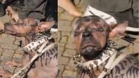 Japanese Millionaire Spends ₹220 Crore To 'Become A Dog'? Viral Transformation Raises Eyebrows