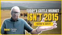 Analyst: Today’s Cattle Market Isn’t 2015. Here’s Why