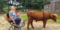 From the Farm: You don’t need to see a cow to know one