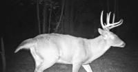 Middle Creek's 2026 fall archery deer hunt is fast approaching [column]