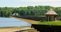 A reservoir walk where Yorkshire's wildlife drowns out A59 road chaos