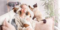 New sanctions for unauthorised dog and cat sales in France