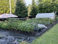 Gardening for storage