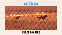 Wildfires sweep Europe: Can governments keep up?