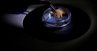Brazil uses forensic science to trace gold's origin and tackle illegal mining in the Amazon