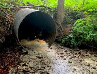 Going After the Polluters