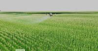 This Week in Agribusiness, August 8, 2026