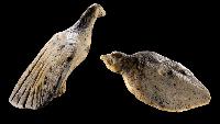 Ice Age bird figurines discovered in German cave